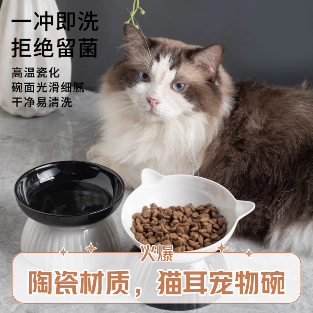 猫脸陶瓷宠物碗 宽大碗口 斜口高脚 保护颈椎 光滑釉面  安全材料