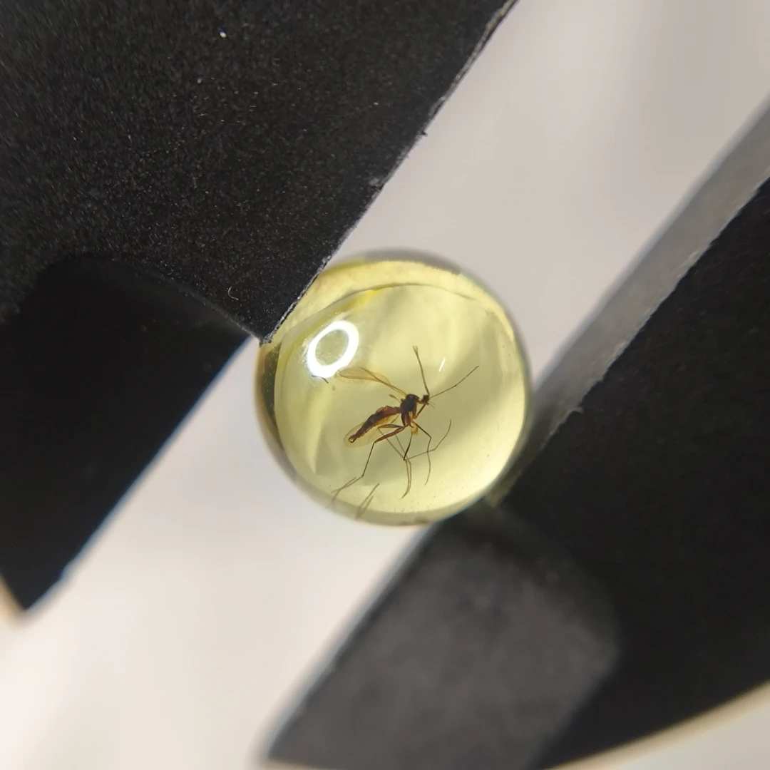 天然原矿波罗的海琥珀虫珀圆珠蚊子星月金刚菩提手串隔珠顶珠