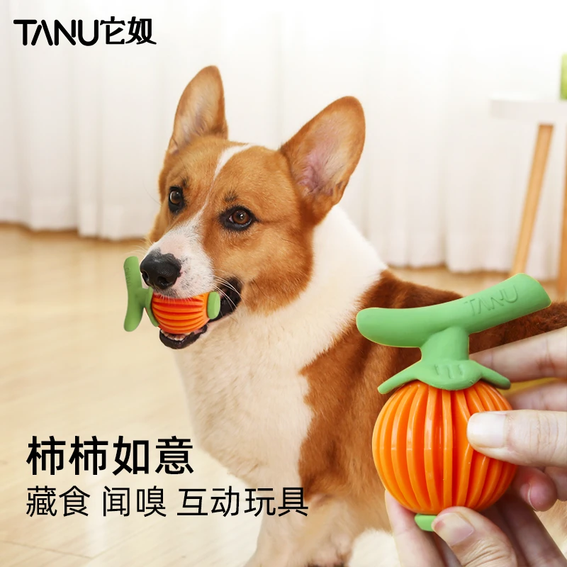 TANU环保TPR乳胶玩具小狗狗训练中小型犬耐咬磨牙解闷藏食狗玩具