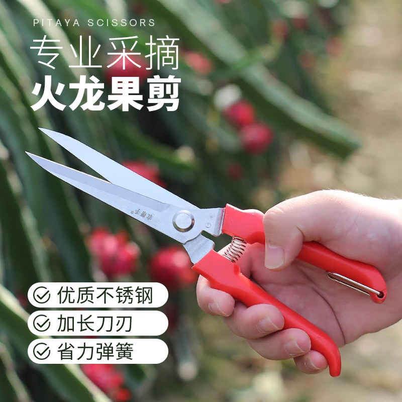 火龙果专用剪刀葡萄蔬果摘果枸杞花椒水果采摘花卉修枝稀果园艺剪