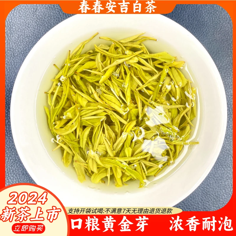 2024年新茶安吉原产地黄金芽口粮茶浓香耐泡清香型明前茶老茶客