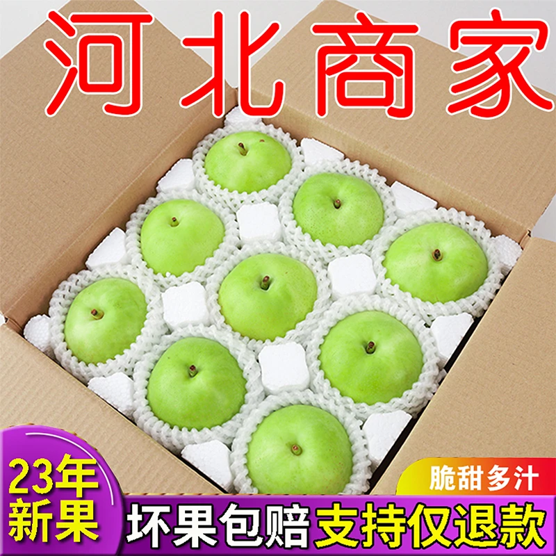 【粉丝福利】河北皇冠梨子5/9斤包邮现摘现发礼品盒脆新鲜水果香甜