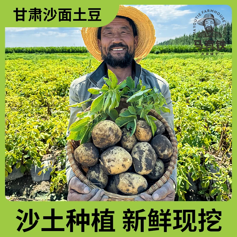 现挖2024新鲜甘肃定西高山旱地黄皮黄心沙面土豆5/9斤装马铃薯