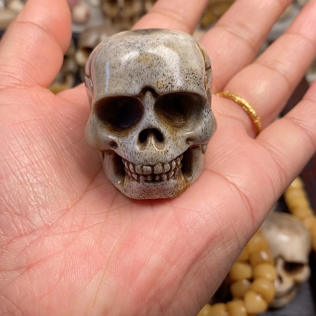 鹿骨其他貓***000000003190