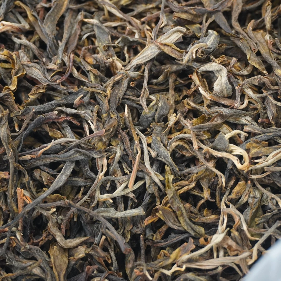 2022年 冰岛老寨 古树头春纯料 普洱生茶散料