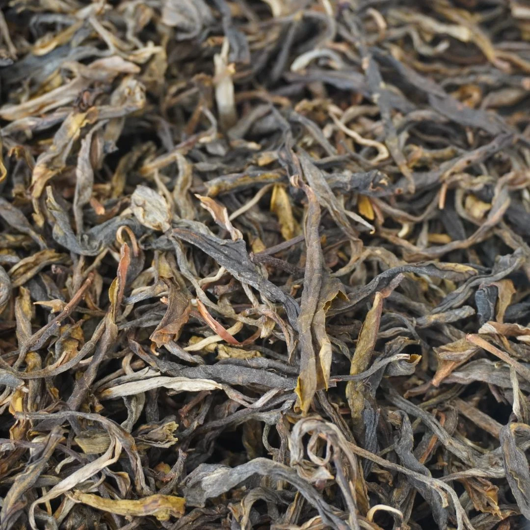 2024年 冰岛老寨 中大树头春纯料 普洱生茶散料