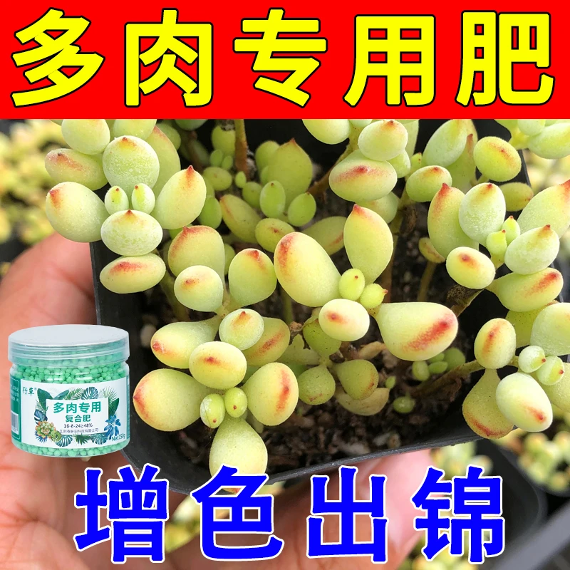 多肉专用缓释肥家用盆栽金枝玉叶增色通用型氮磷钾营养液肥料颗粒