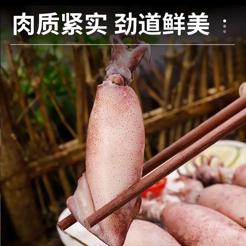 新鲜海兔满膏带籽鲜活笔管鱼墨鱼籽乌鱿鱼八爪鱼斗鱼乌贼鲜冻水产