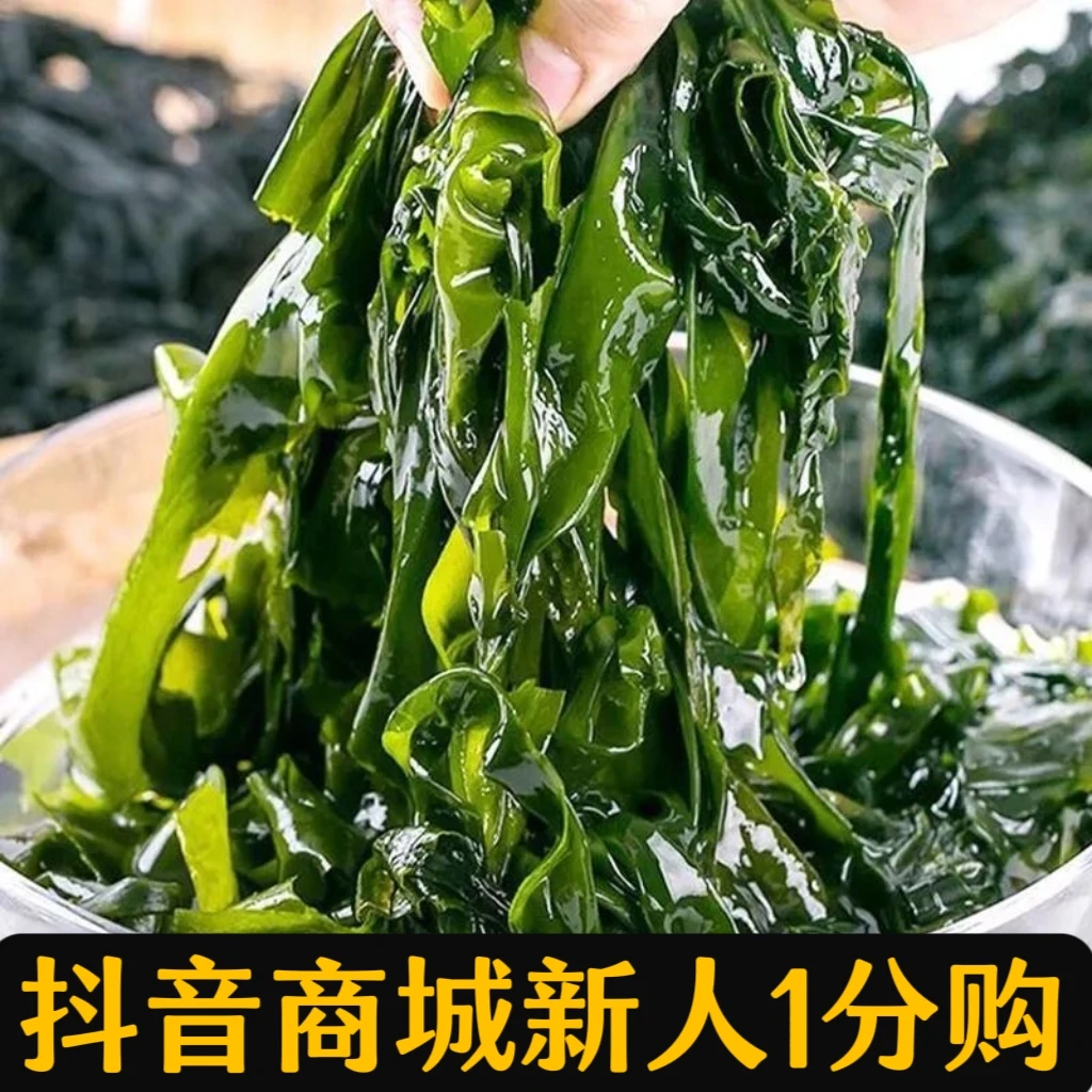 【2元福利品】抖音新人一分购裙带菜宝宝儿童正宗【福利款】