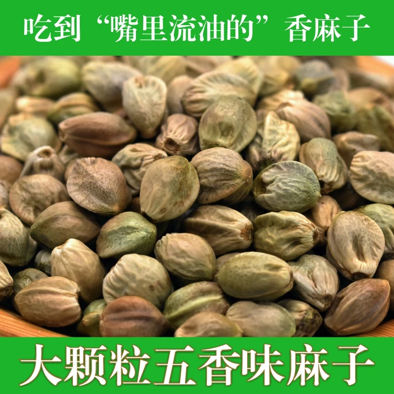 麻子大粒甘肃特产特大生麻子火麻子籽人吃炒熟油食用香麻子大颗粒
