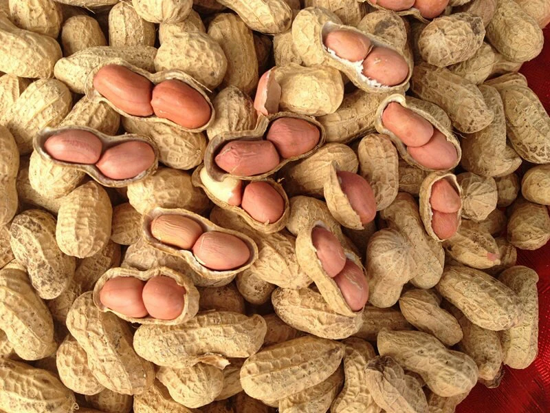 【向幺妹助农】农村土花生