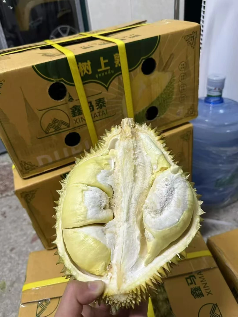 （金凤壹号）泰国树熟金枕，纯果肉（2斤）