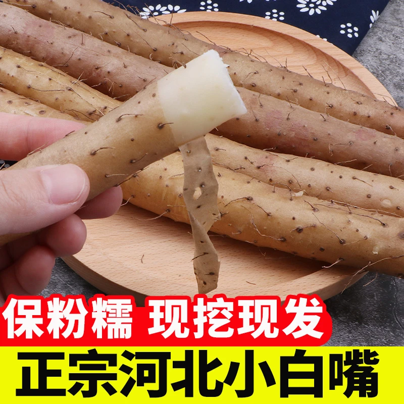 【新粉专享】河北小白嘴山药麻山药新鲜净重5斤软糯香甜产地直发