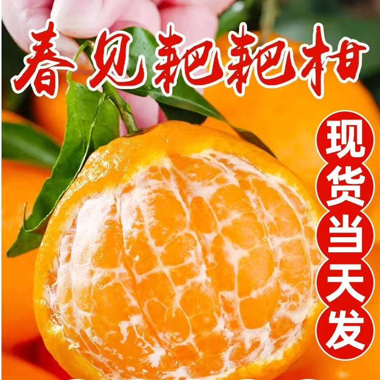 正宗四川春见耙耙柑新鲜采摘不知火丑橘子爆浆当季1-8斤大果皮薄