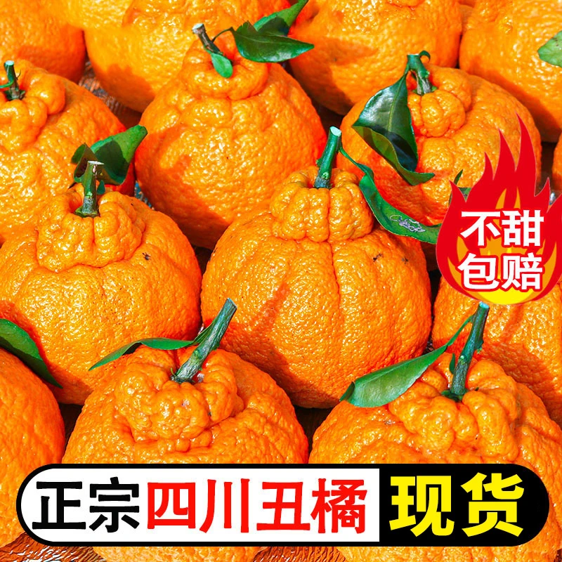 正宗四川不知火丑柑丑橘新鲜水果孕妇丑八怪柑橘3-9斤非丑柑耙