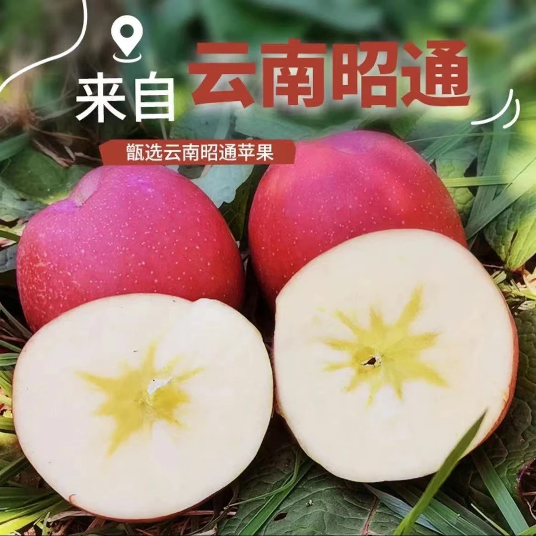 云南正宗昭通糖心孕妇水果现摘多汁新鲜水果脆甜包邮红富士苹果