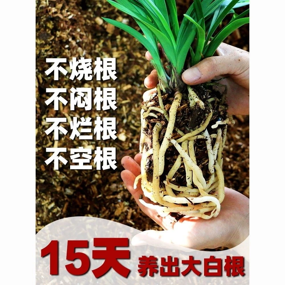 翁源兰花纯杉树木屑保湿透气疏松兰花基地专用植料