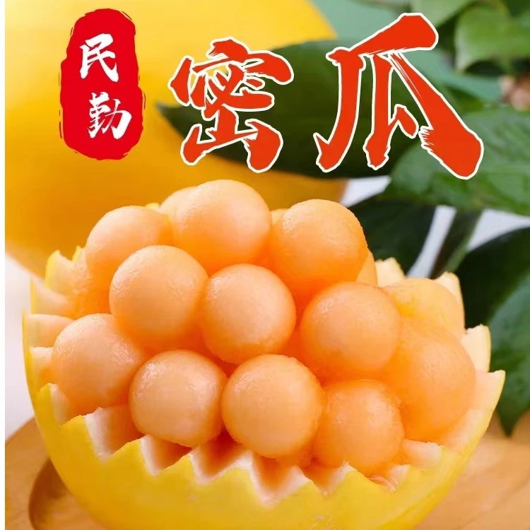 甘肃民勤自家种植新鲜采摘沙漠蜜瓜自然成熟水果香甜四溢净2-9斤