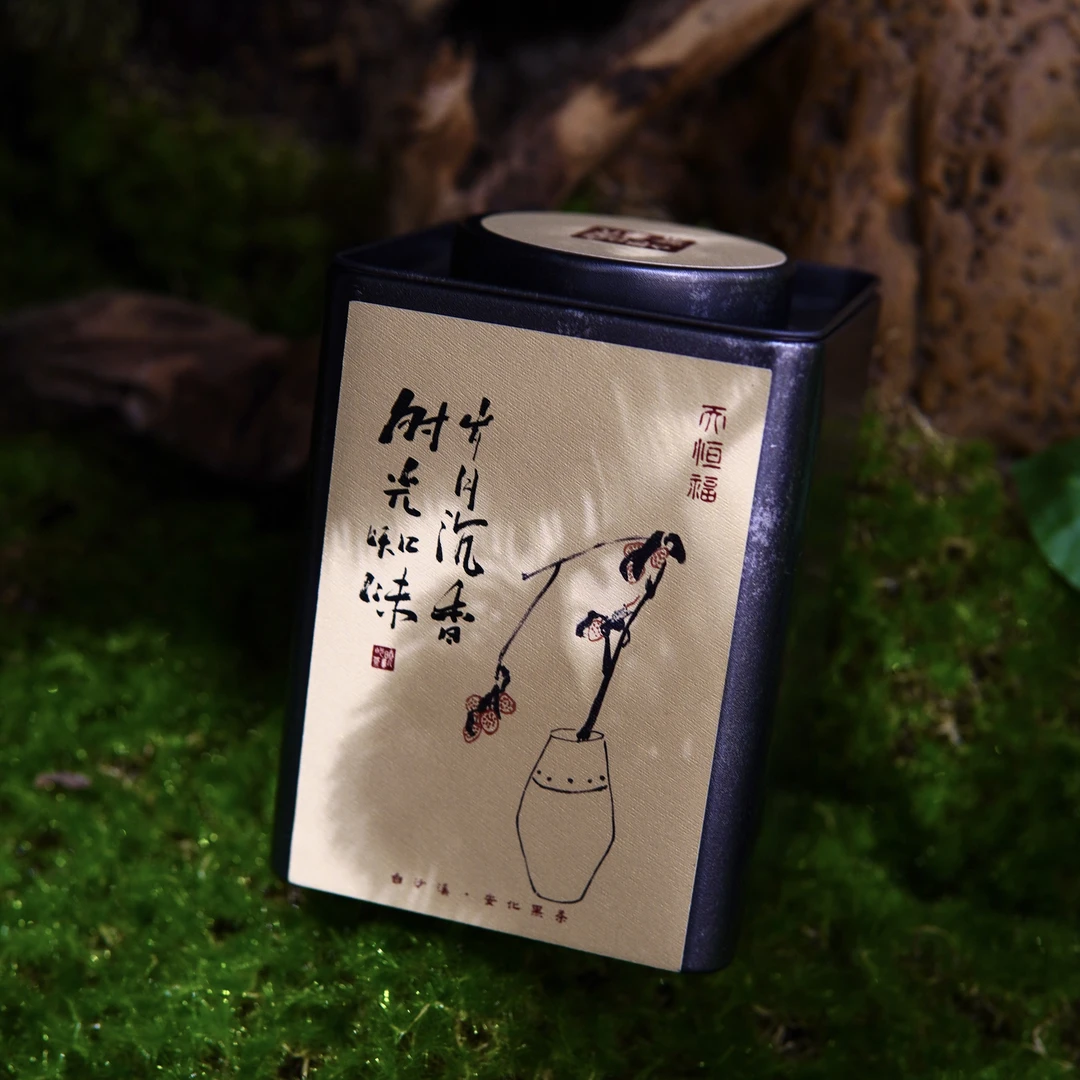 晓凤的茶 2015年九龙池荒野老树 香片250g安化野生黑茶
