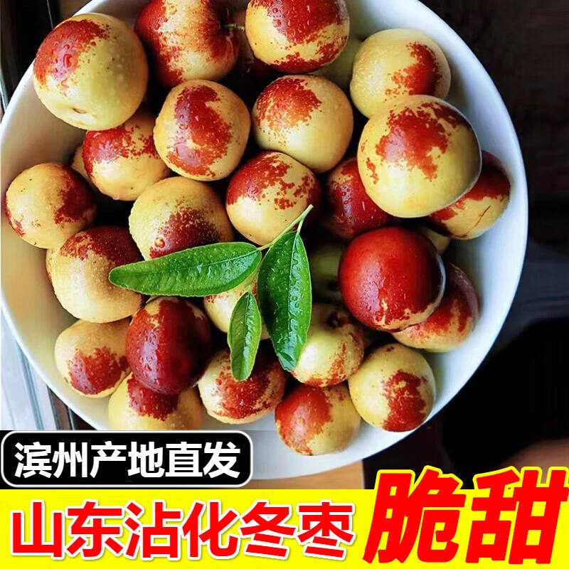 【产地直发】沾化冬枣新鲜皮薄源头产地果园直发3斤/5斤应季水果