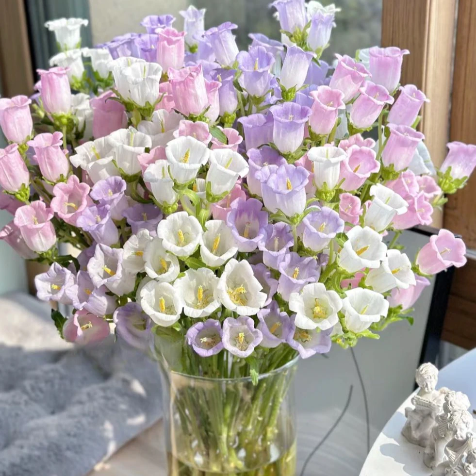 【盼盼鲜花】三拼色风铃 灵动 鲜花两单起包邮 云南鲜花