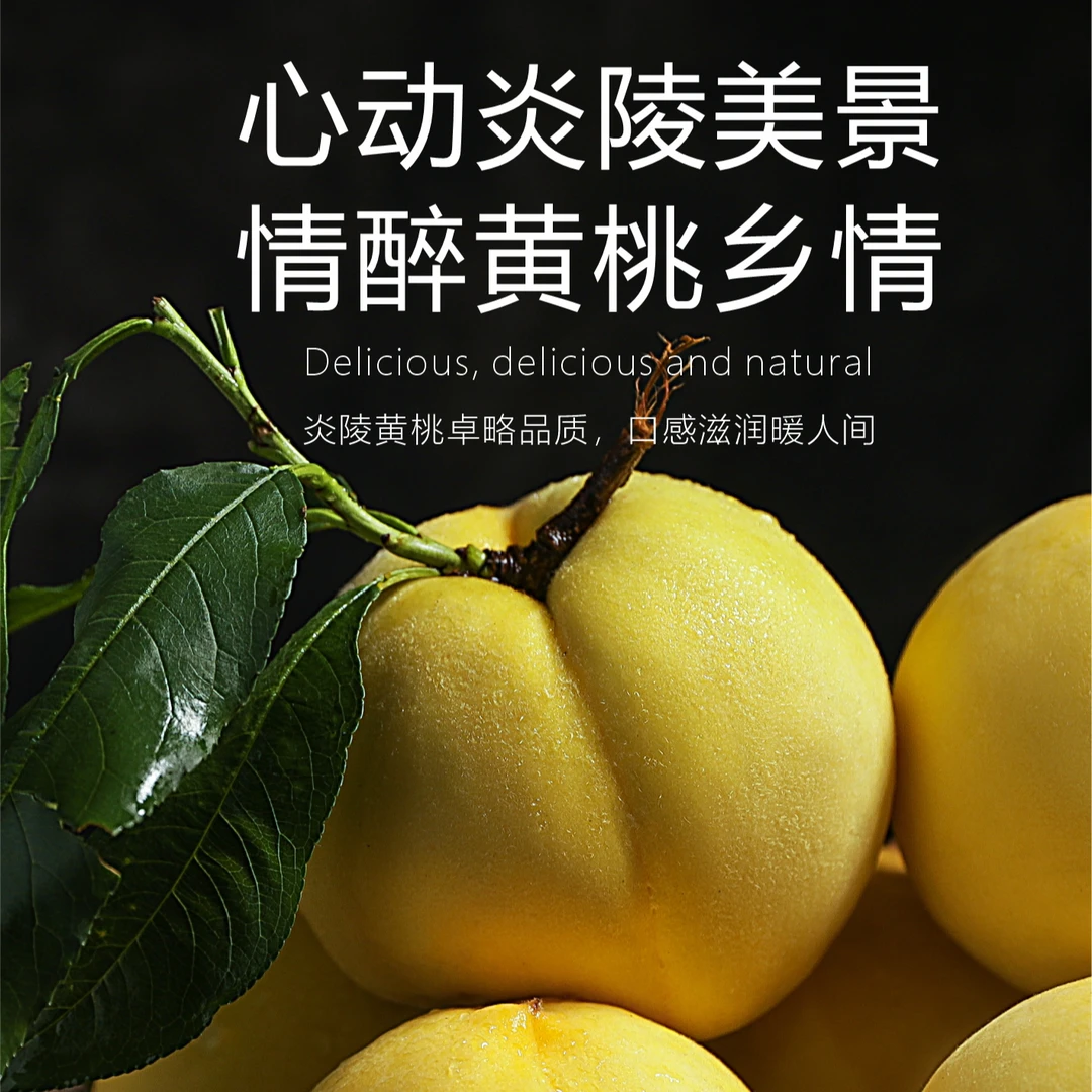 【现摘现发】正宗湖南炎陵高山鲜桃，原产地直发品味正宗炎陵黄桃