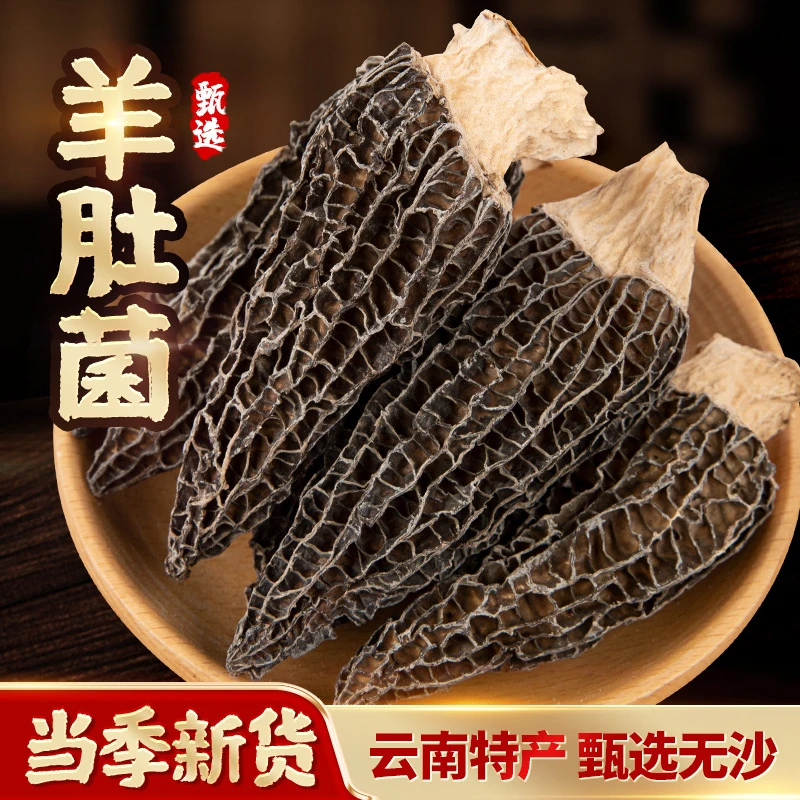 云南特产羊肚菌精选优质精品晾晒肉质干货新货品质菌菇煲汤营养