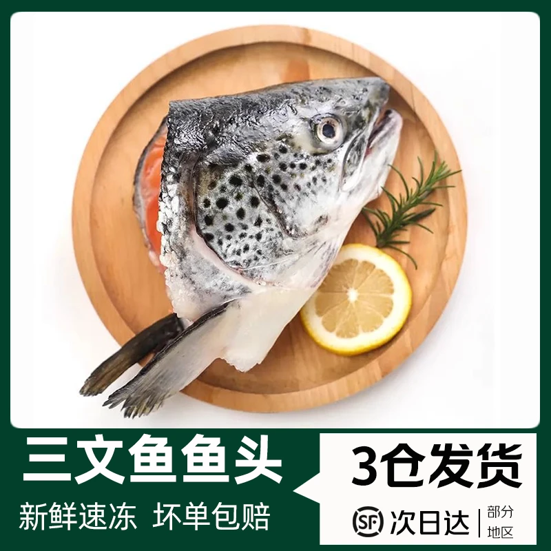 挪威进口正宗三文鱼头新鲜冷冻非刺身三文鱼边角料大个鱼头海鲜