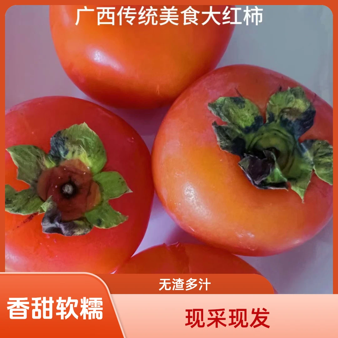 大红柿子生果做柿饼发货催熟后食用香甜无渣软糯多汁老树现采现发