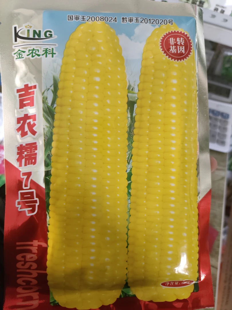 吉农糯7号黏玉米籽
