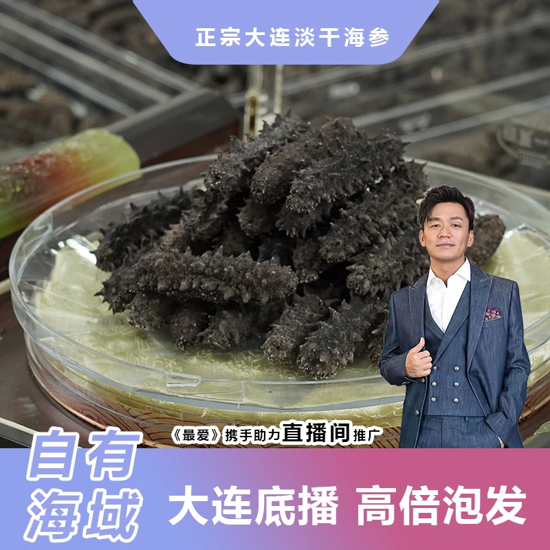 【大连淡干 国标三级体验】正宗辽刺身淡干海参工厂底播