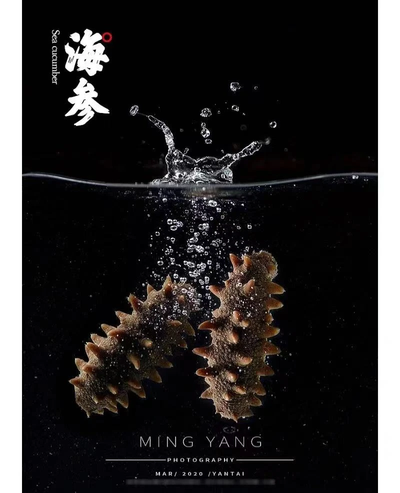 渤海湾即食海参到手60-70左右（活参加工  包邮到家）加两只试吃