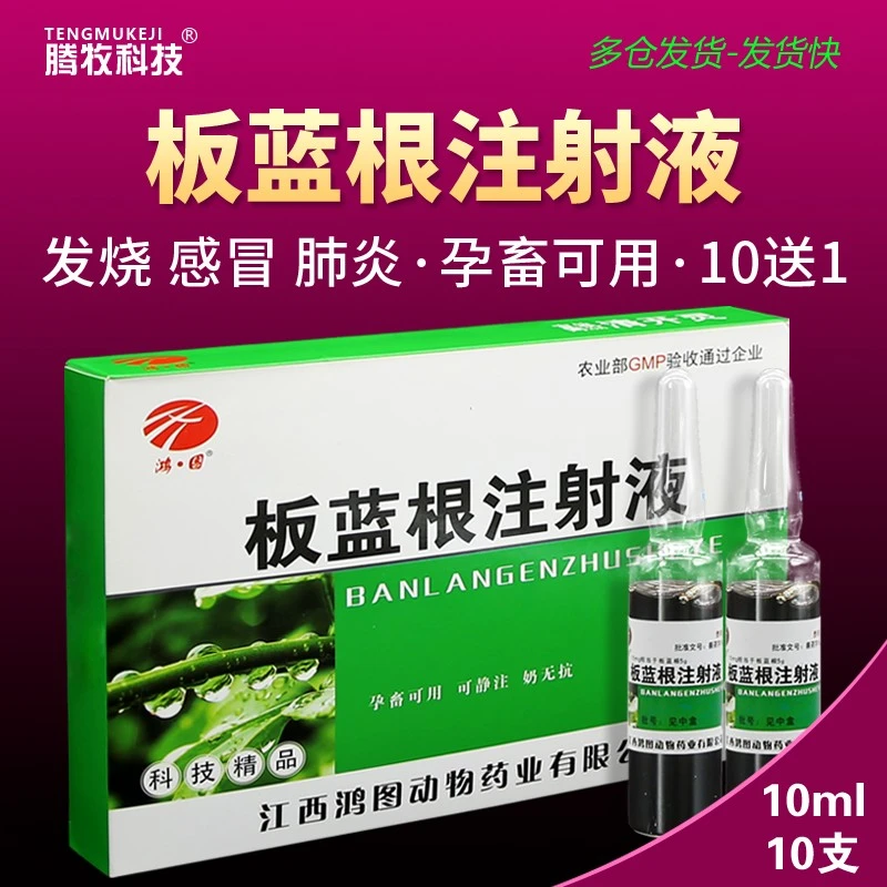 板蓝根兽用注射牛羊猪兽药批发大全板蓝根注射液兽用清热解毒流感