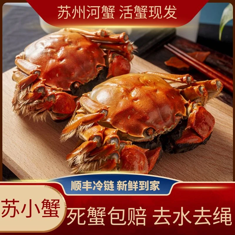 【活蟹现发】全母蟹2.0~1.8两(6只)苏蟹鲜活河蟹顺丰发货