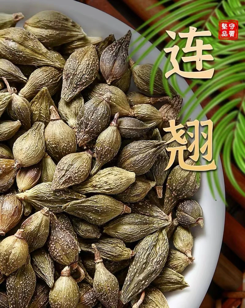 《瑞兔百草》道地青翘 去柄连翘新货