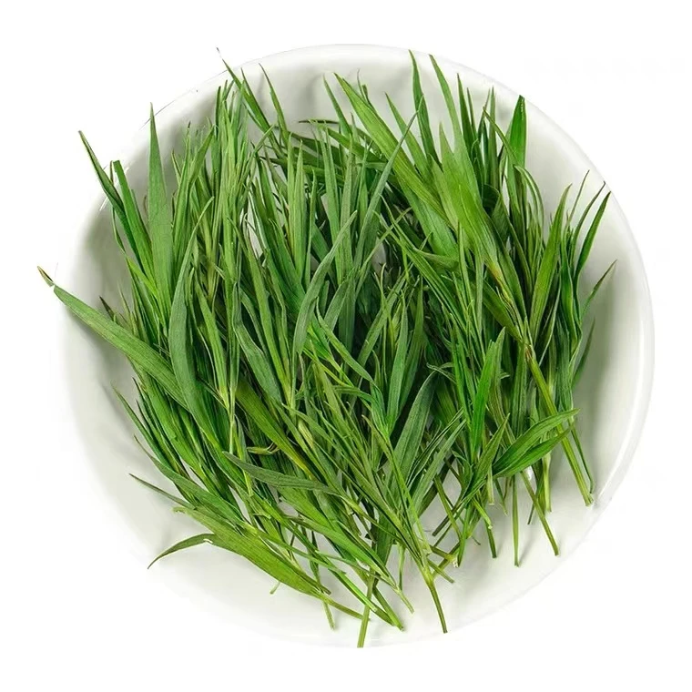 《瑞兔百草》淡竹叶