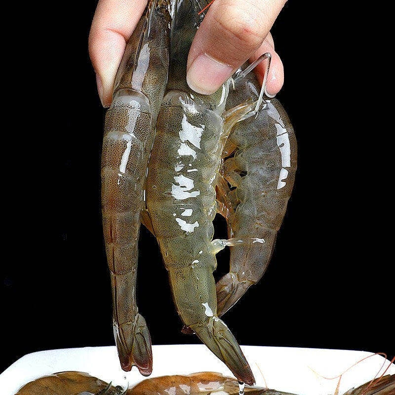 4050中号海鲜活虾速冻3斤/盒海虾带保护冰锁鲜发货新鲜日期白灼
