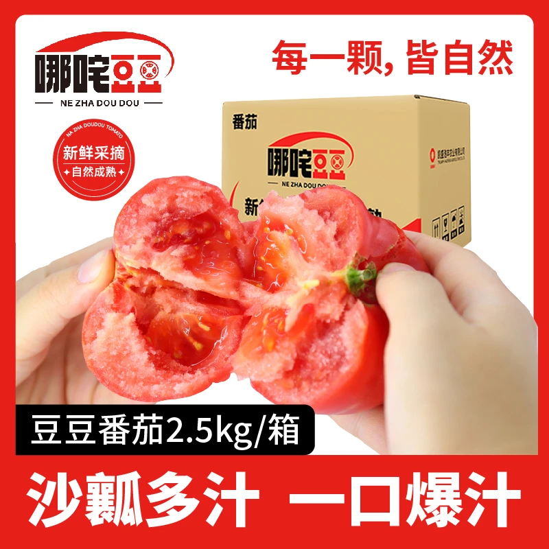 哪咤豆豆【现摘现发】沙瓤普罗旺斯番茄5斤新鲜自然熟水果西红柿