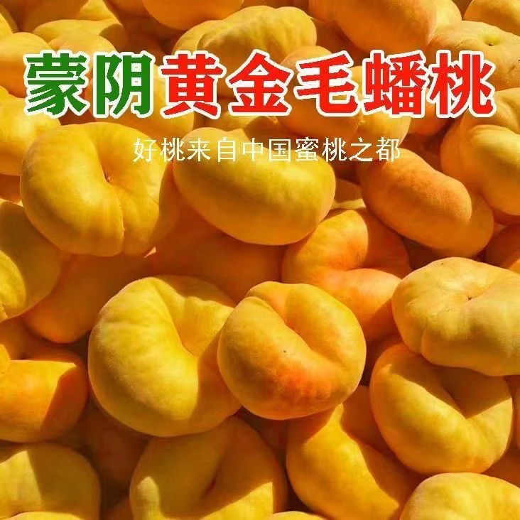 黄金毛蟠桃新鲜水果整箱蒙阴现摘黄毛蜜桃脆甜孕妇应季扁桃精品甜