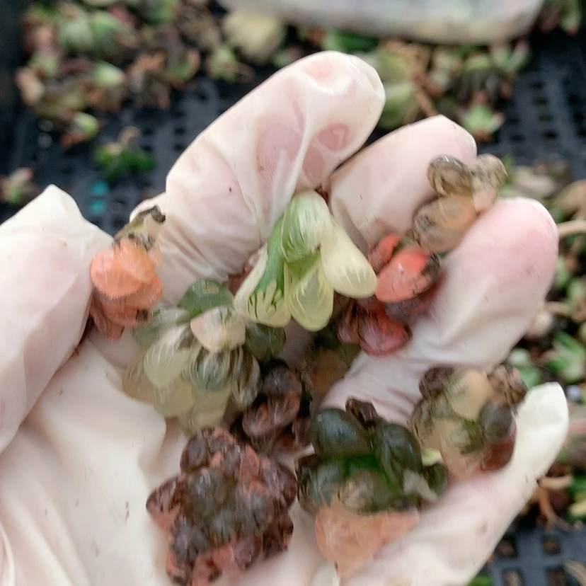 【闪购商品】24号.....