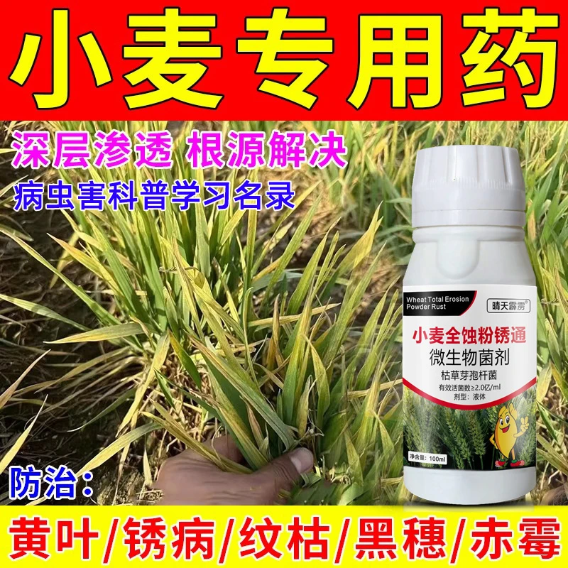 小麦专用药小麦纹枯病小麦黄花叶病毒病白粉病小麦专用叶面肥