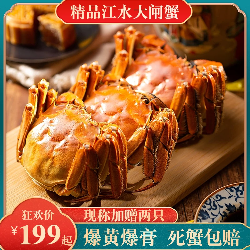 【精选】现称3.0-4.5两江水大闸蟹活蟹直发顺丰全国包邮饱满公母