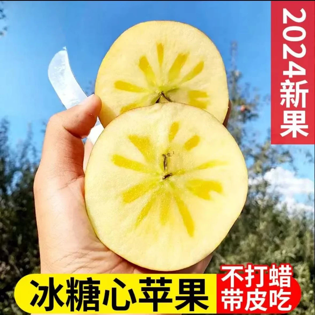 彩箱包装!云南昭通苹果2024头茬鲜果果园现采发货