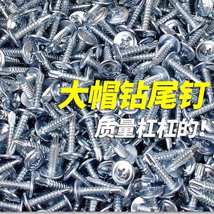国标大圆头华司钻尾丝十字自攻自钻燕尾钉螺钉大扁头钻尾丝镀锌