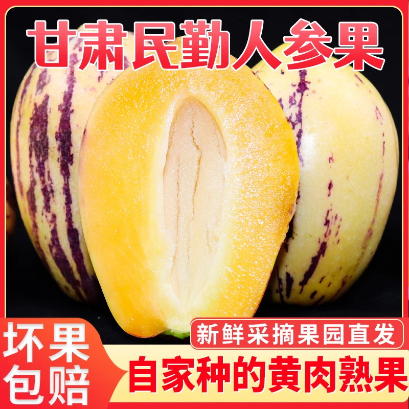 【产地直发】甘肃民勤沙漠人参果黄肉皮薄新鲜树上熟5/8斤果