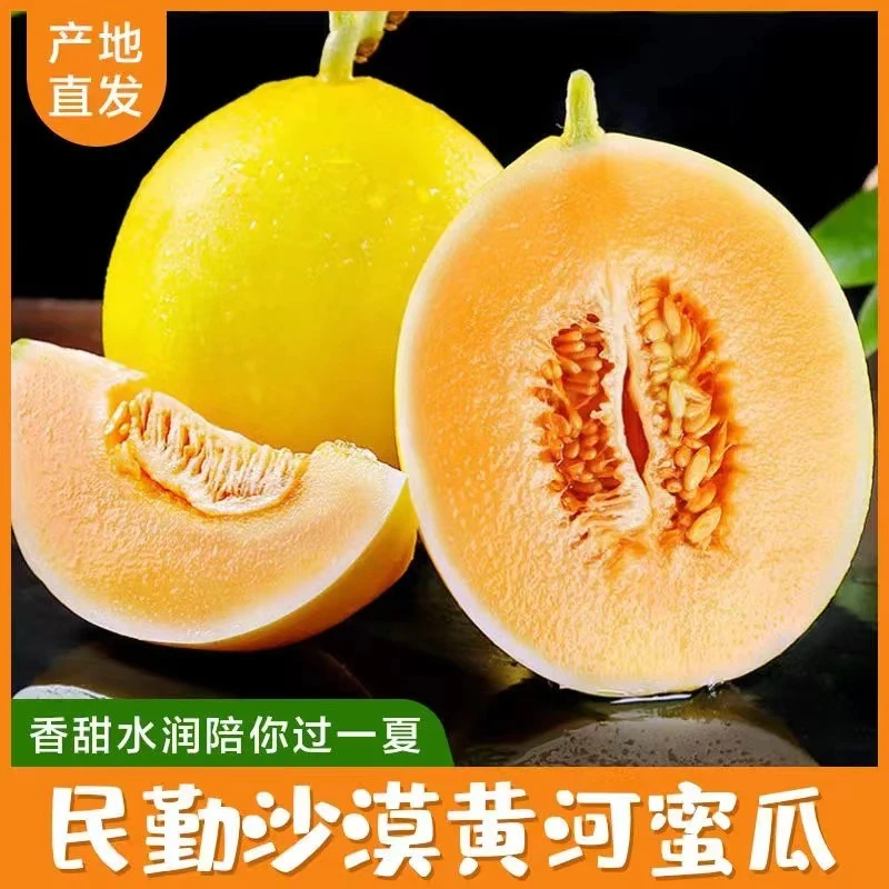 【爆款推荐】新鲜蜜甜民勤蜜瓜金红宝黄河蜜沙漠黄金瓜4.5/8斤包赔