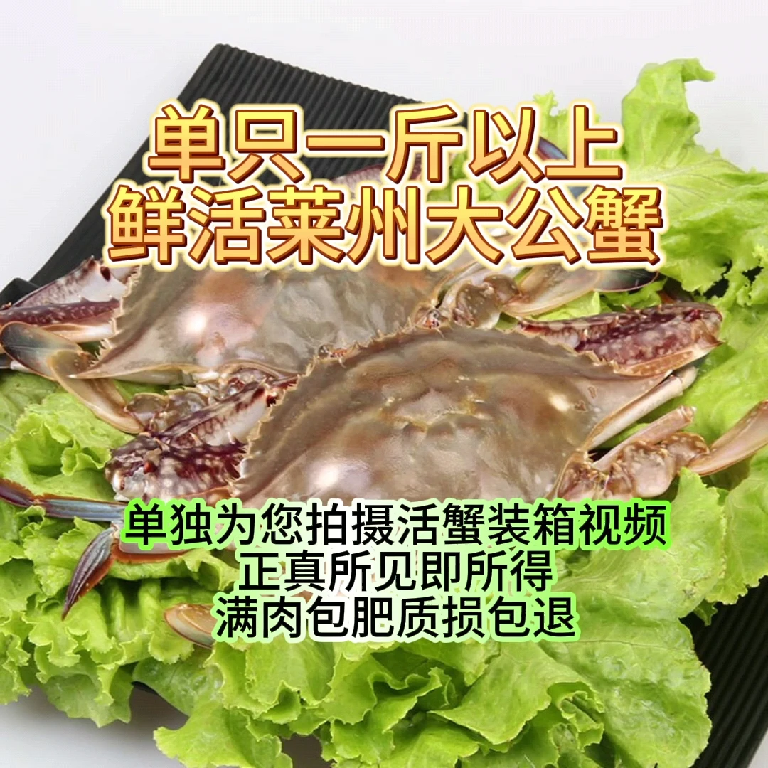 海捕莱州大公蟹（单只一斤以上）【保鲜不保活】总重斤两只数可选