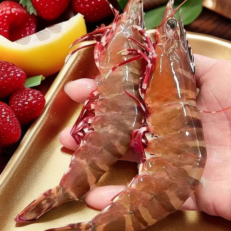 台湾海峡大红虎虾冷冻发货顺丰包邮