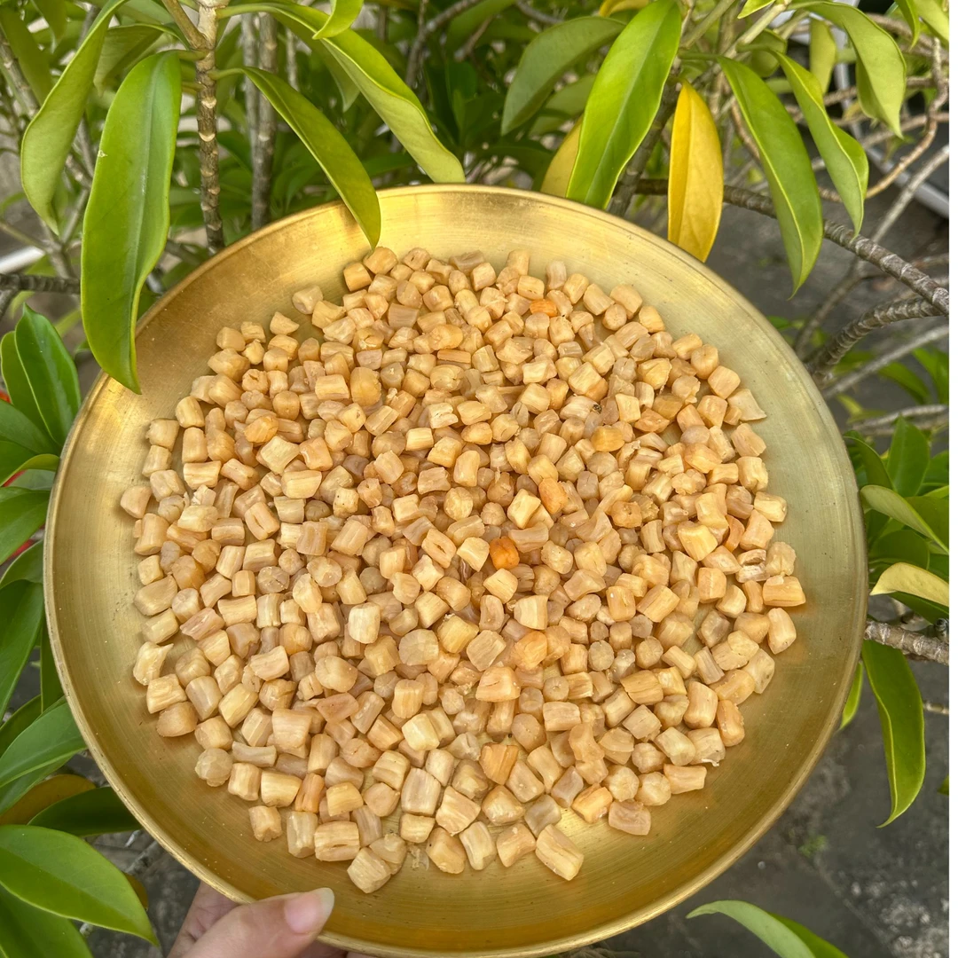 渔民自晒生晒干贝瑶柱