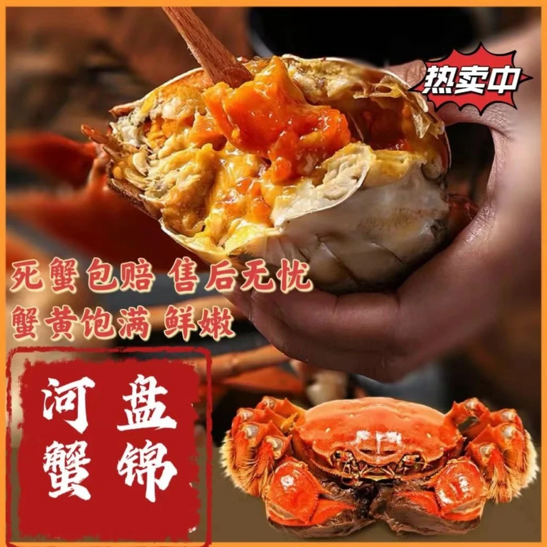 【盘锦河蟹】正宗盘锦河蟹全母1.5-1.7两/只 2/3/5斤不支持退换